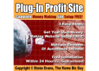 The Secret to Making Money Online: How I Achieved $900 a Day in 2 Hours