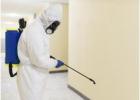 Eco-Friendly Termite Control Indianapolis