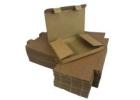 trong & Secure Mailing Envelope Packaging