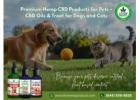 Premium Hemp CBD Products for Pets — Shop Now!